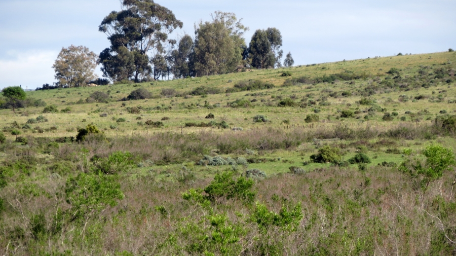 Commercial Property for Sale in Swellendam Rural Western Cape